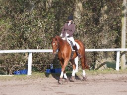 IMG_7779_web